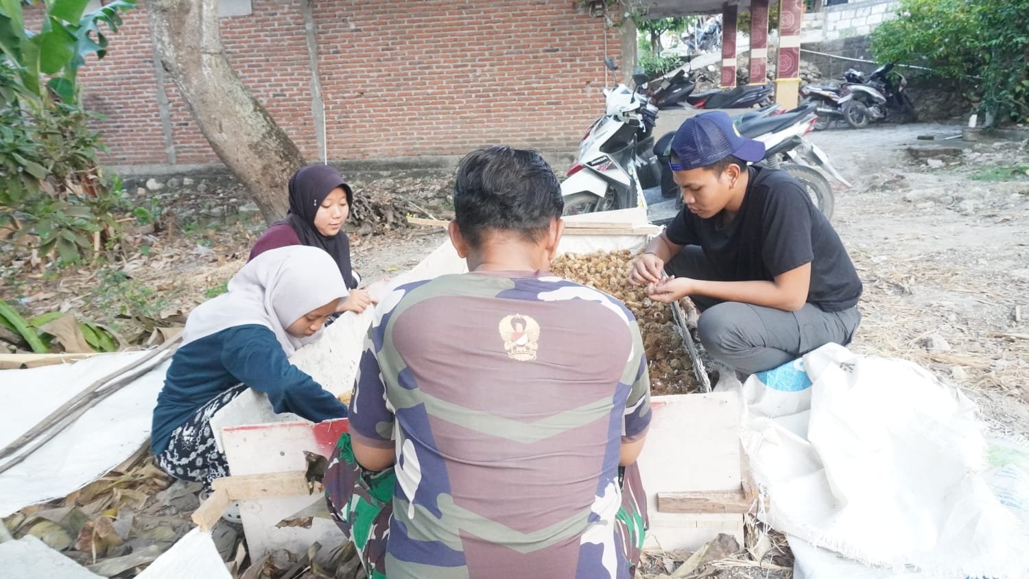 Kerjasama TNI dan Mahasiswa KKN: Budidaya Jamur Jadi Solusi Ekonomi Desa Tlemang